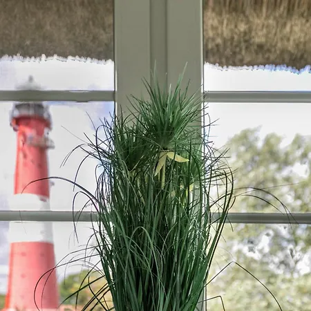 Austernfischer Haus *