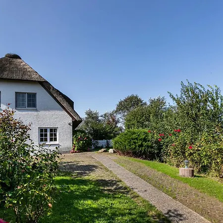 Austernfischer Haus *