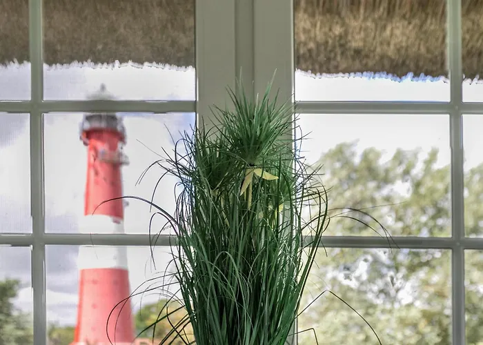 Austernfischer Haus *